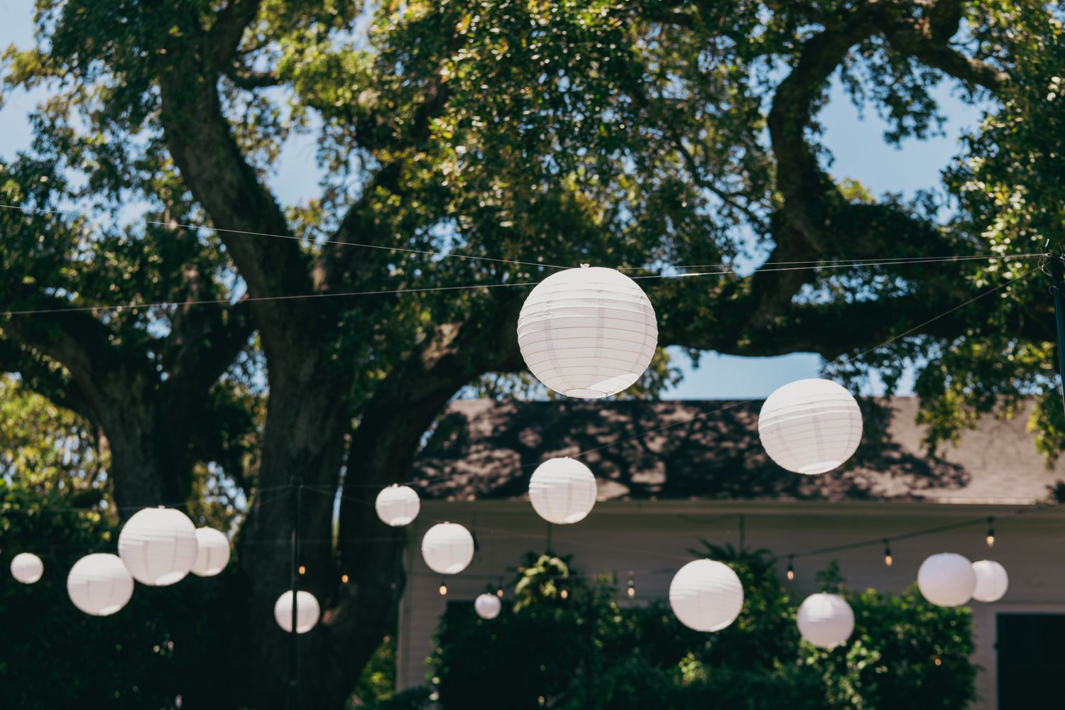 White paper lanterns hanging among green trees at an outdoor wedding venue at dusk.