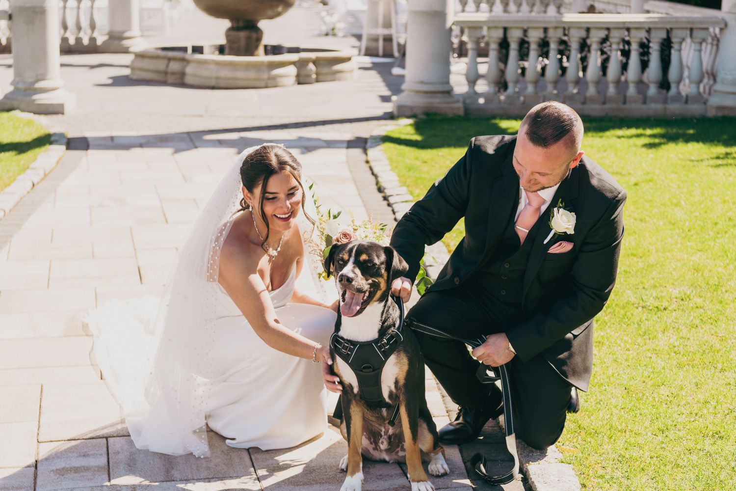 Bride and groom kneeling beside their dog wearing floral collar during outdoor wedding photo session.