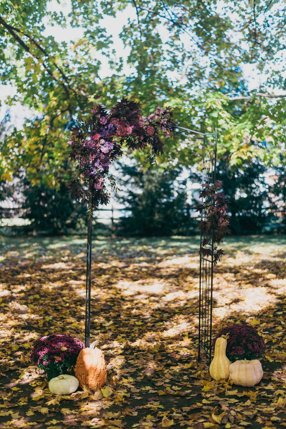 Autumn wedding arch adorned with purple flowers and pumpkins on a leaf-covered ground outdoors.