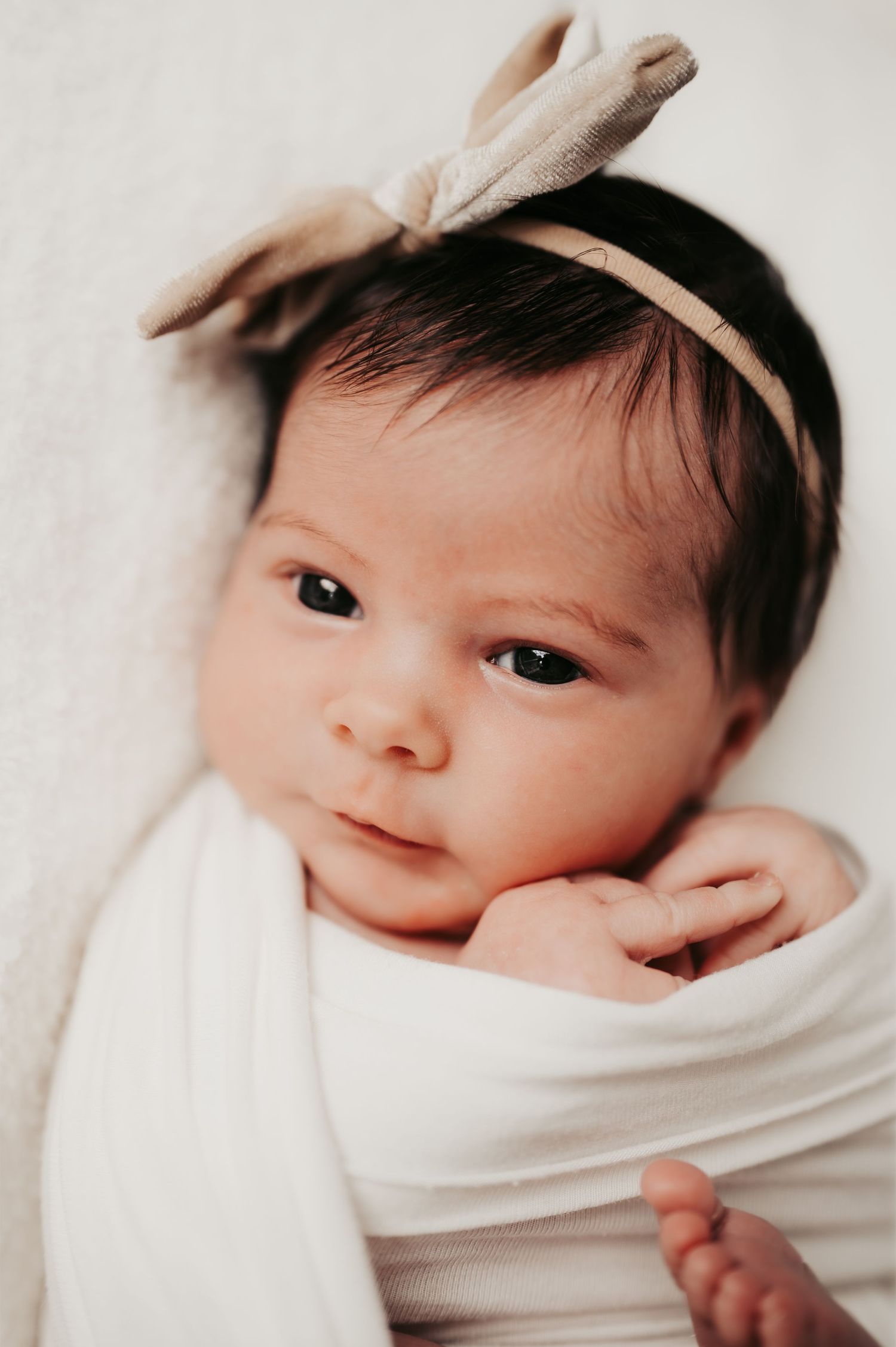 Timeless maternity, newborn, family, milestone, and portrait photography by Fox Studios Photo in the Hudson Valley, New York.