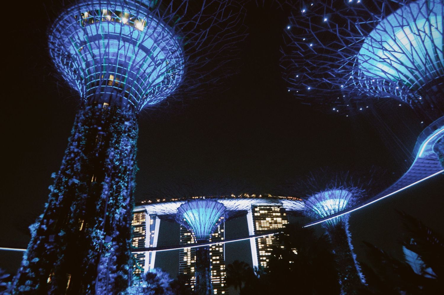 Low-angle night photography of illuminated Supertree structures, shot by London-based photographer ARIETA Studios.