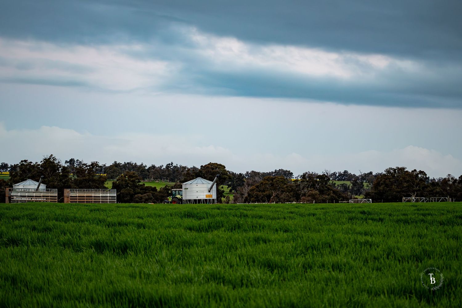 A wide green crop field.
