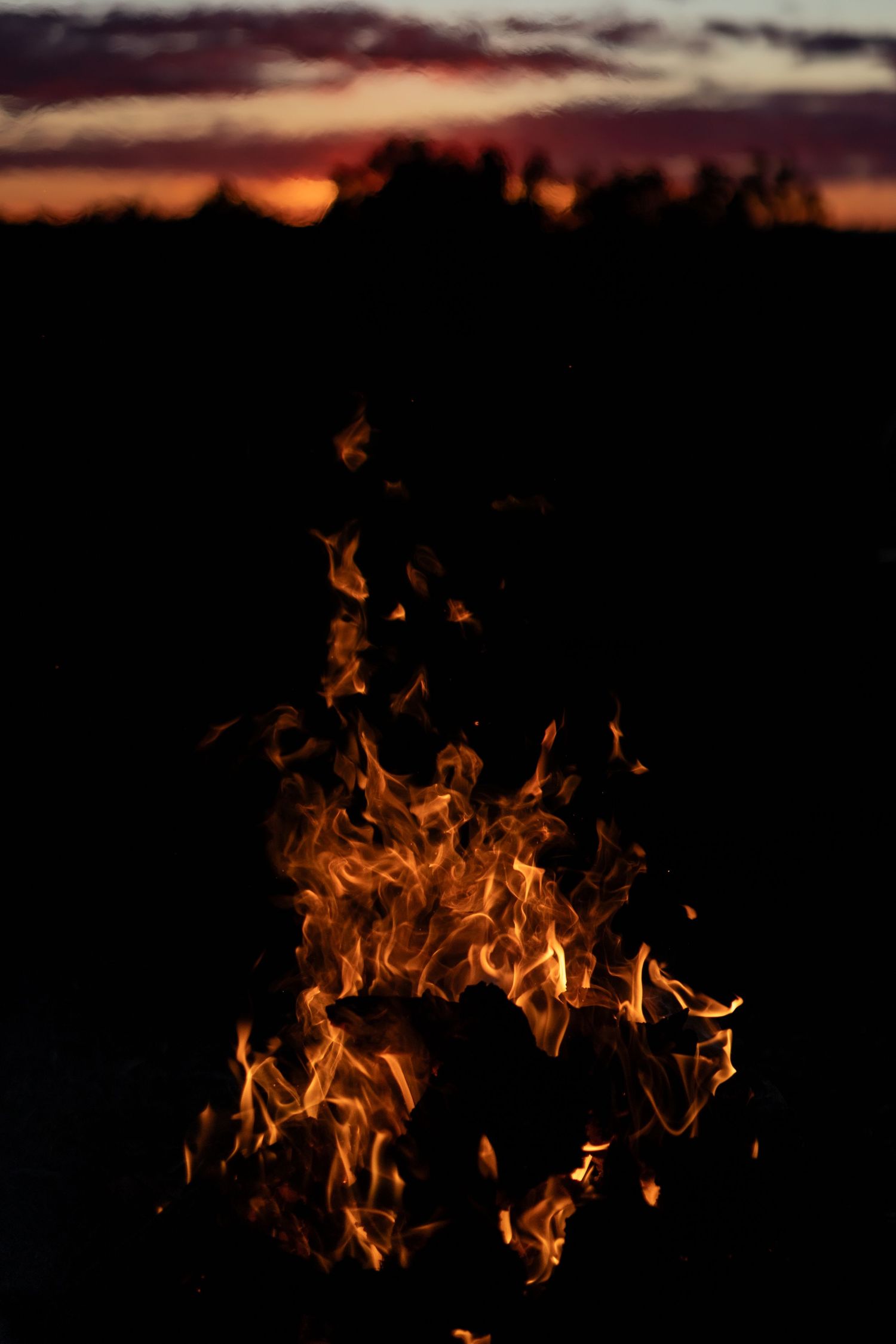 Vibrant campfire burning against a dark twilight sky with silhouetted trees and colorful sunset in the background.