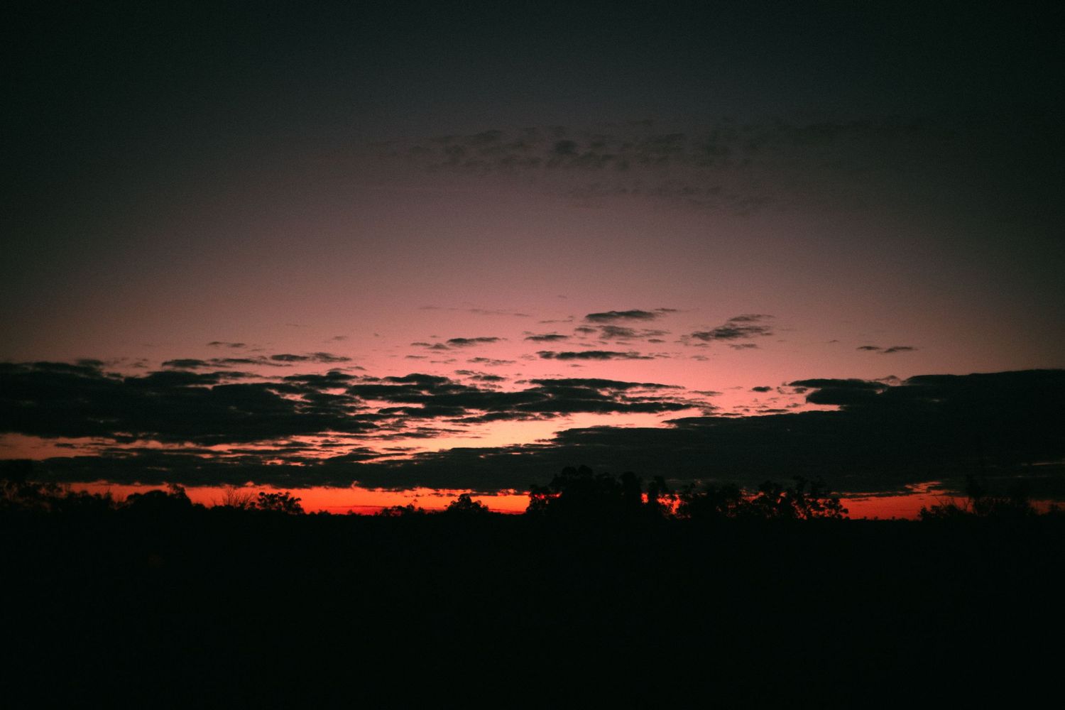Dramatic red and orange sunset sky with dark silhouetted trees and clouds on the horizon.