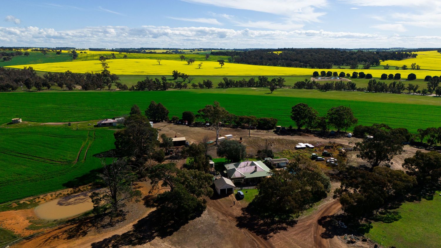 Aerial view of a rural farm property surrounded by vibrant yellow canola fields and lush green paddocks in Australia.