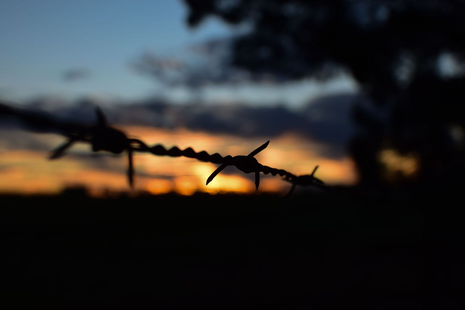 Silhouette of barbed wire fence against a dramatic colorful sunset sky.