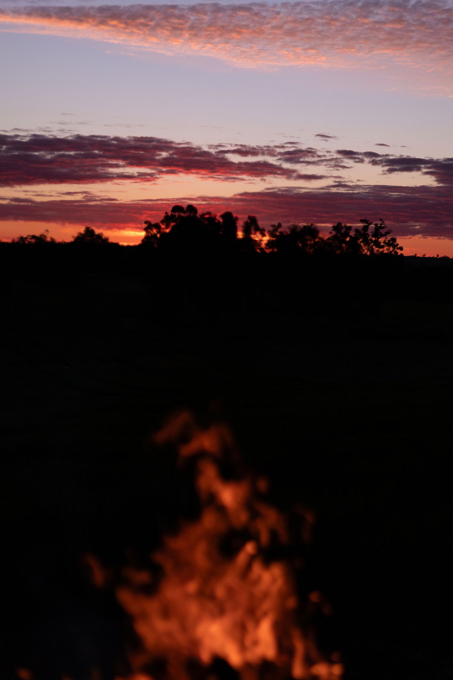A blurred campfire glows in the foreground against a stunning red and purple sunset silhouetting trees on the horizon.