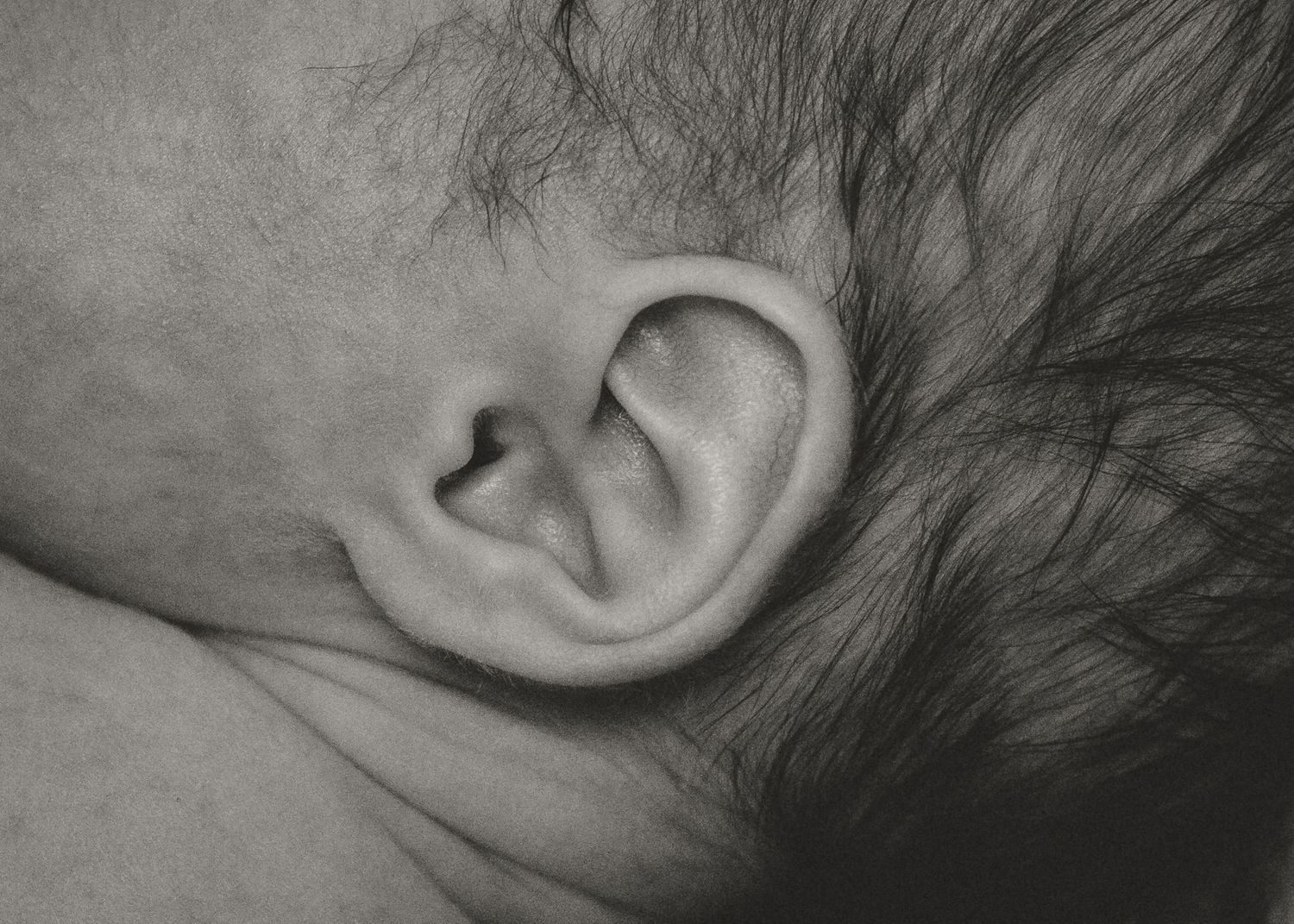 Detailed close-up of a newborn baby's ear with fine hair in black and white.