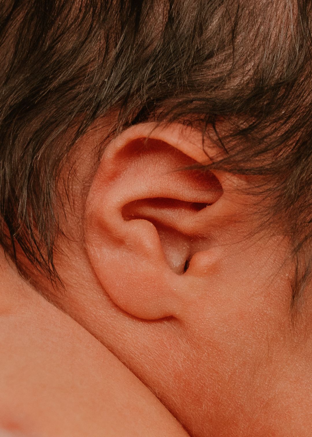 Close-up of a baby's ear with fine dark hair, showing delicate skin and natural ear anatomy.
