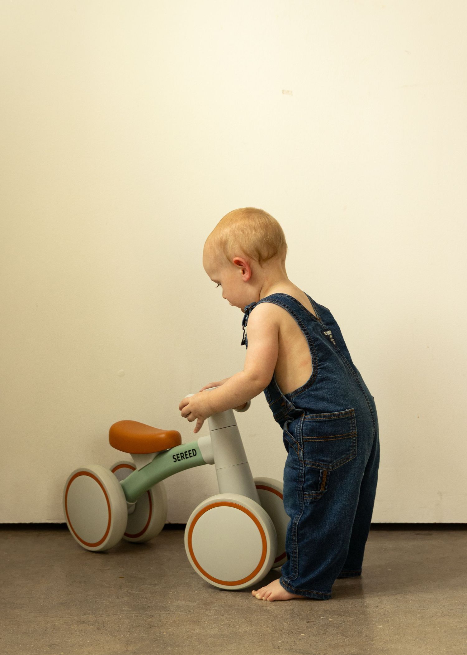 Baby Milestone Session, first birthday session, toddler with balance bike