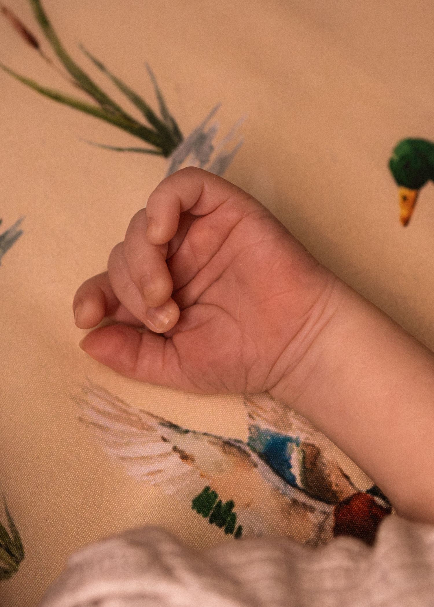 Newborn baby's tiny clenched fist resting on a bird-patterned fabric surface.