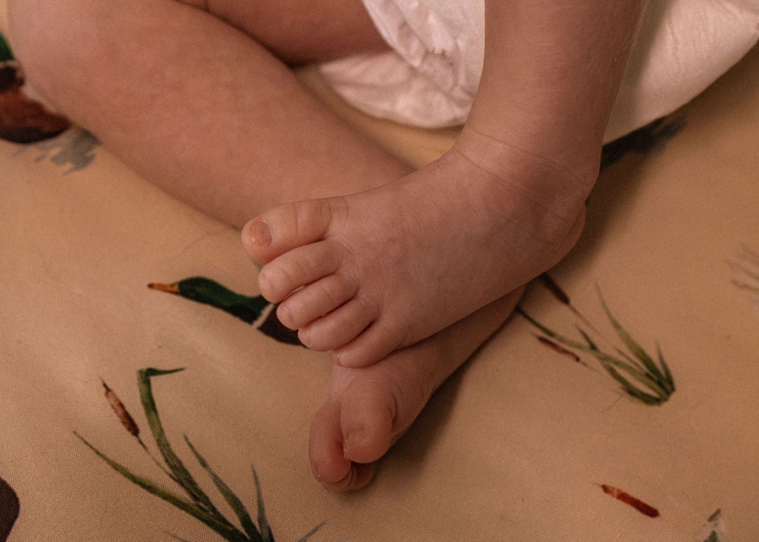 Newborn baby's tiny feet and toes resting on a nature-themed patterned blanket.