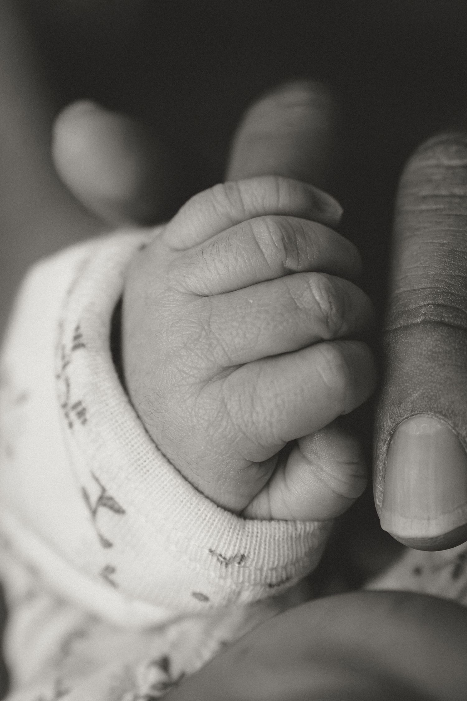 Black and white close-up of a newborn baby gripping an adult finger, wearing a hospital identification bracelet.