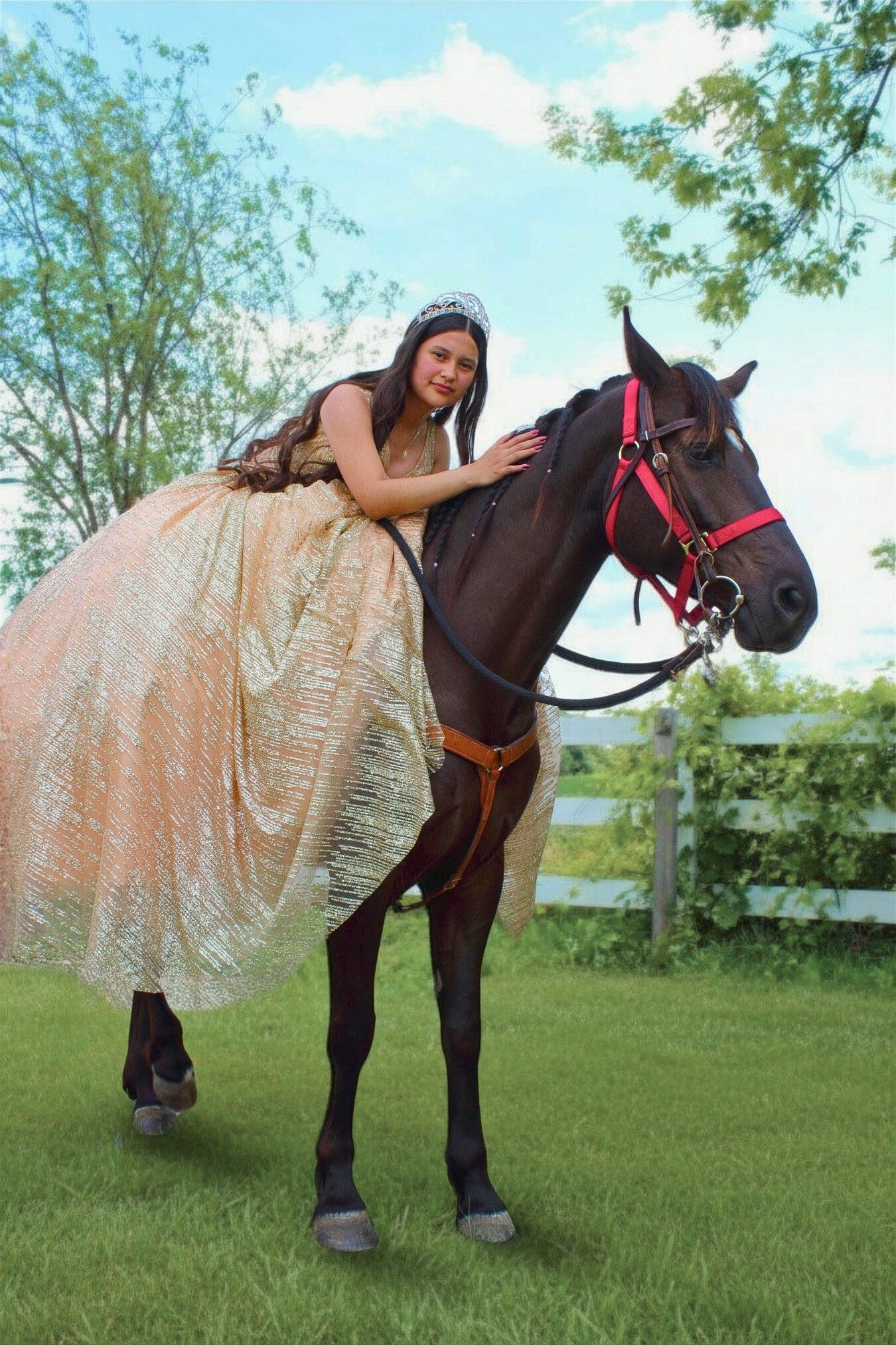 Rancherito Ranch and Venue