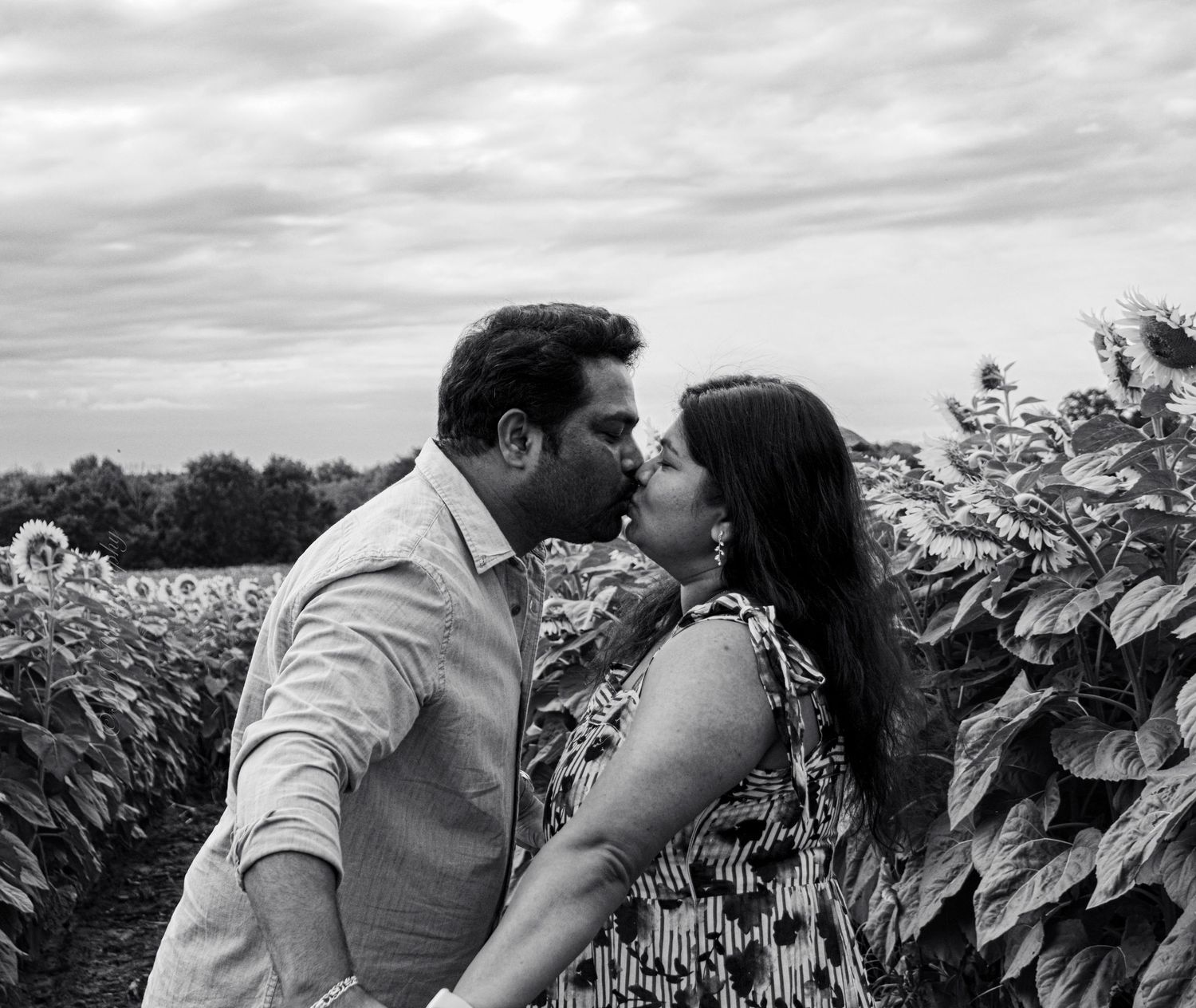 A couple shares a romantic kiss in a sunflower field in a black and white portrait.