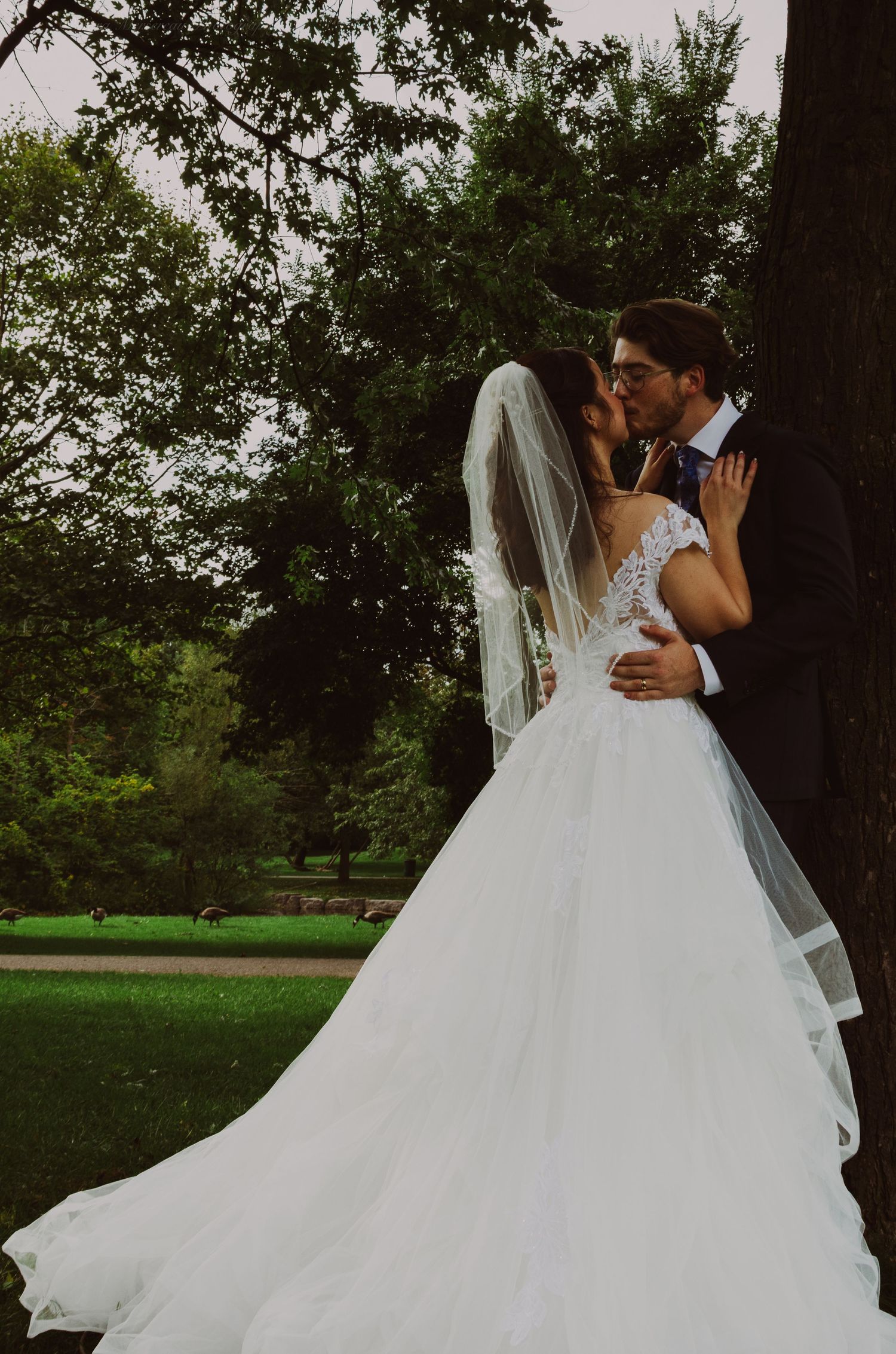 A bride and groom share a romantic kiss outdoors, with the bride wearing a flowing white gown and veil amid lush green trees.