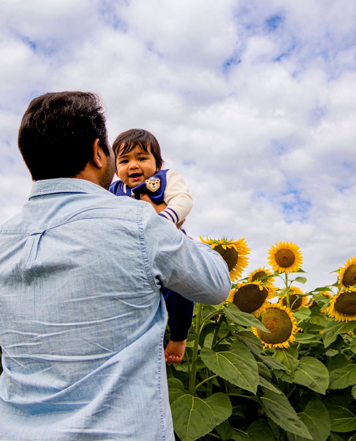 A father lifts his laughing baby high above a field of bright yellow sunflowers.