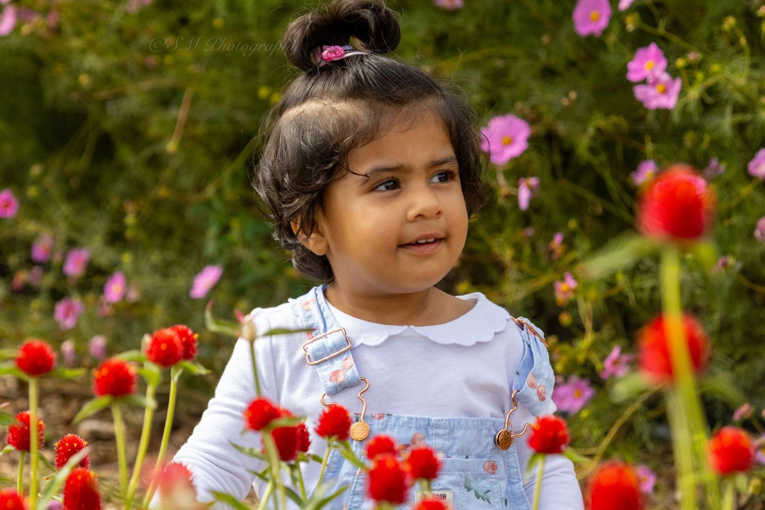 Adorable toddler girl with hair bun smiling among vibrant red and pink flowers in a garden.