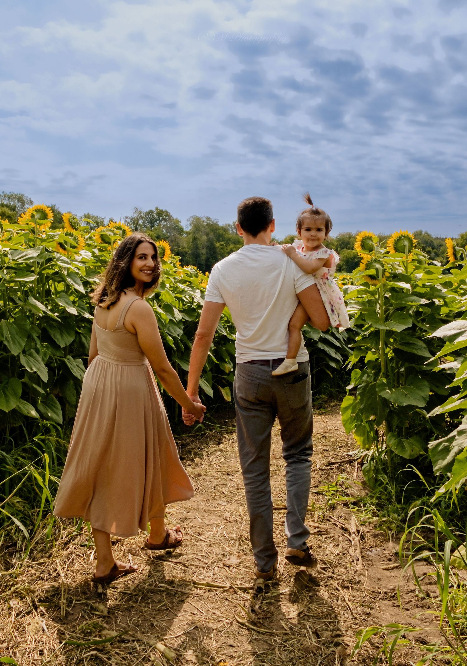 Family standing in a blooming sunflower field at Pingle's Farm Market in Oshawa