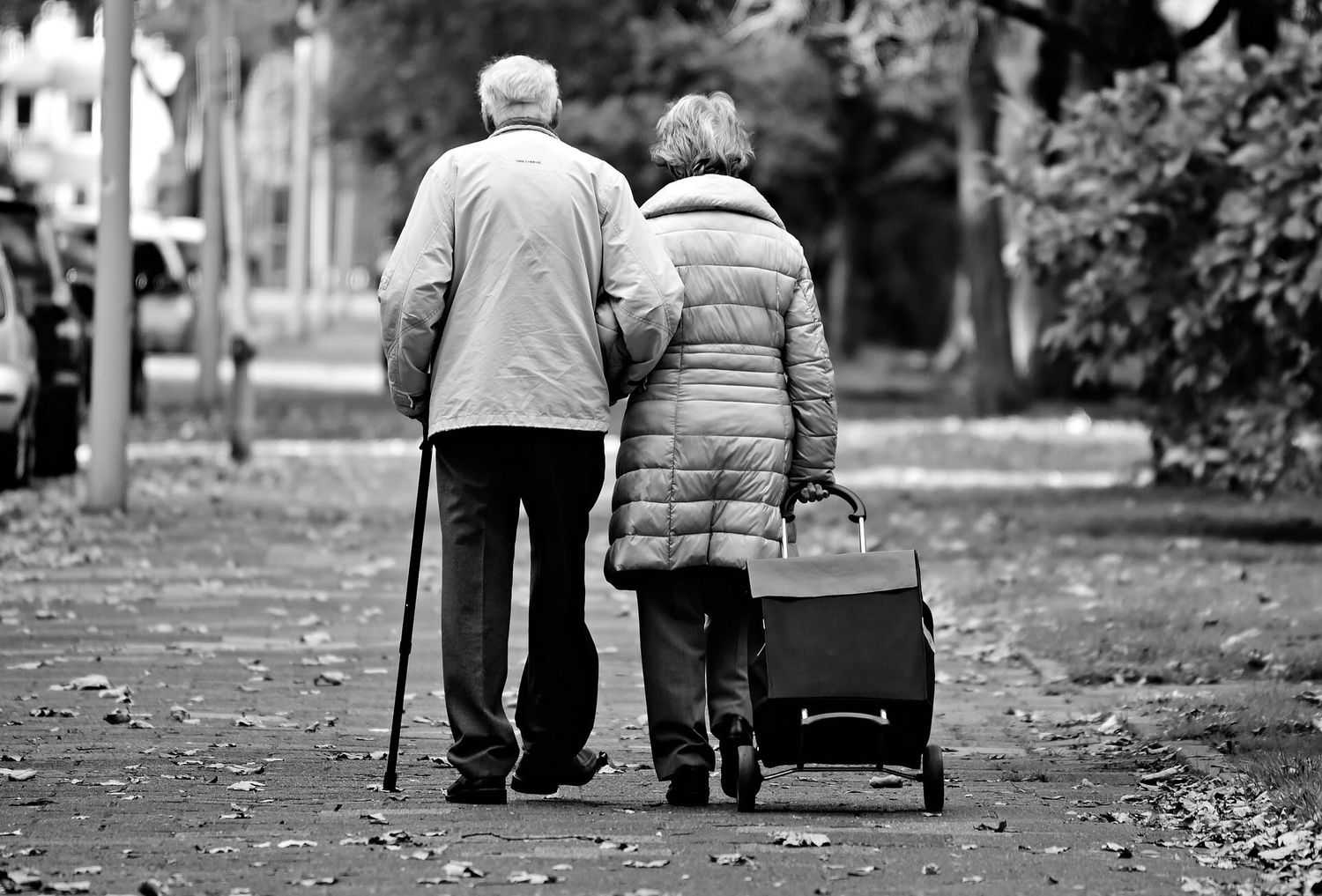 Seniors - Femme et homme - Marche