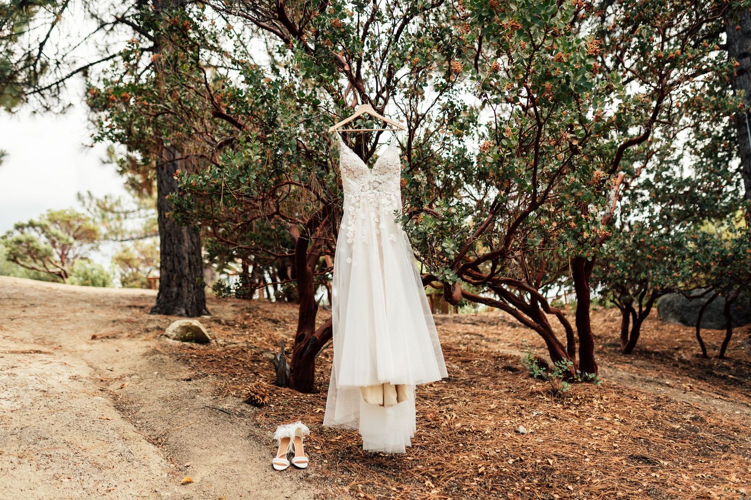 Idyllwild Elopements, nature ceremony, surrounded by nature, couple kissing in private mountain ceremony