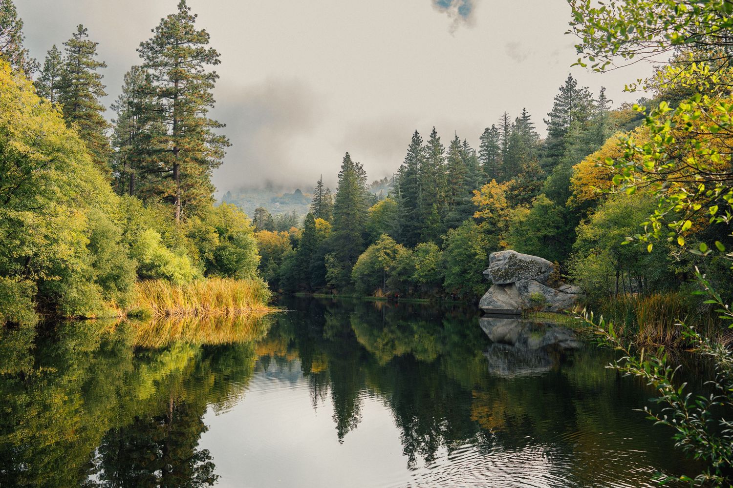 Lake Fulmor Idyllwild CA, San Jacinto Mountains, elopements, LGTBQ+, inclusive services,