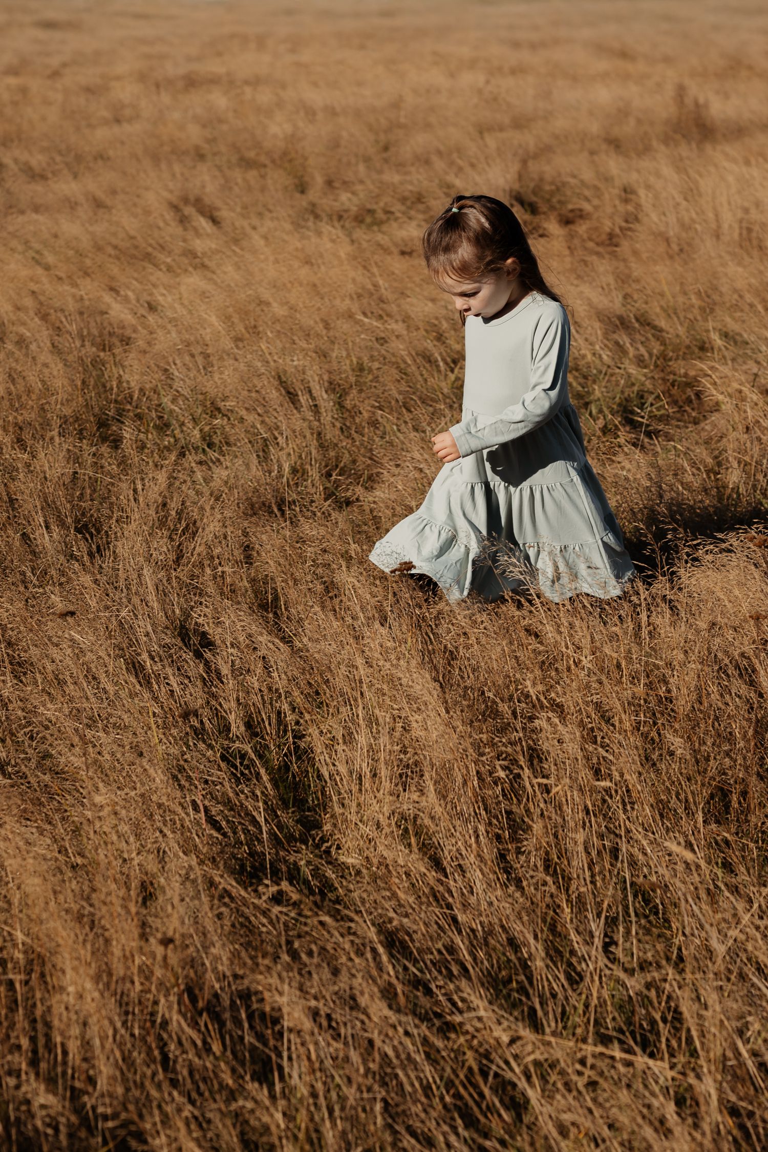 Young girl in a light blue dress walking through tall golden grass at Discovery Park in Seattle during an outdoor family photoshoot.