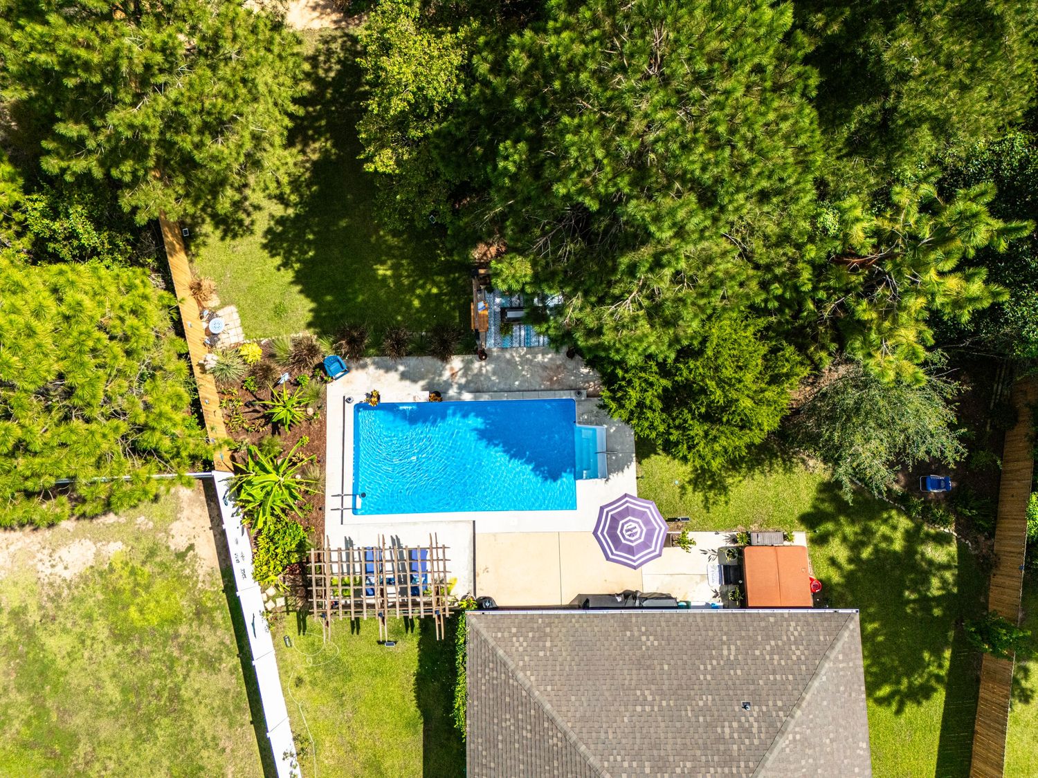 Aerial view of a backyard swimming pool surrounded by lush green trees with a purple umbrella and patio area.