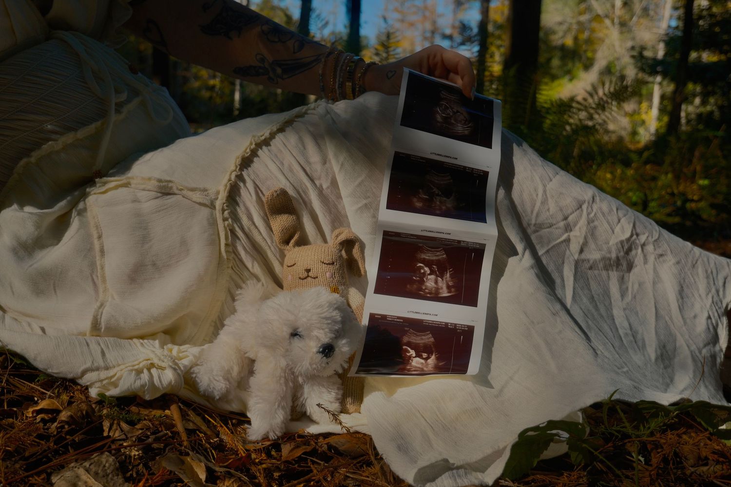 Ultrasound photos displayed on a white blanket with a small white plush dog and teddy bear in a wooded setting.