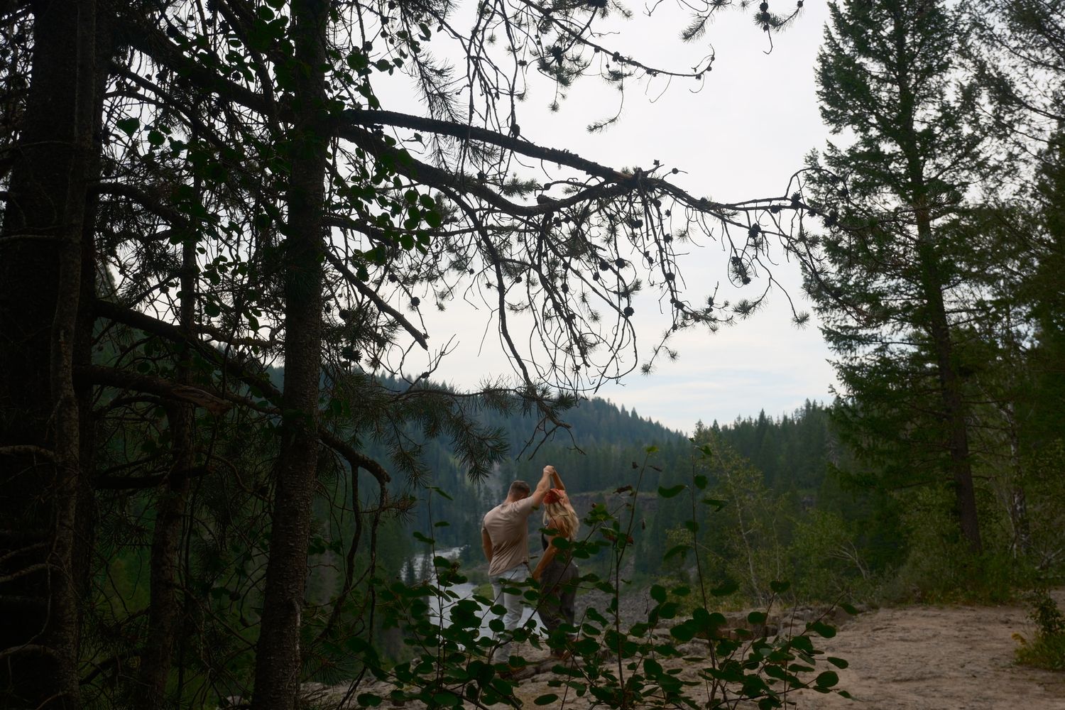 A couple embraces at a quiet overlook framed by pine trees, with forested hills and a soft sky stretching into the distance.