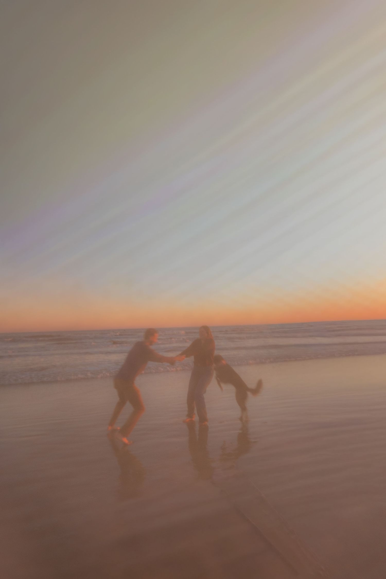 Couple plays with their dog at the water's edge on a beach at sunset, with warm pastel light and soft reflections.