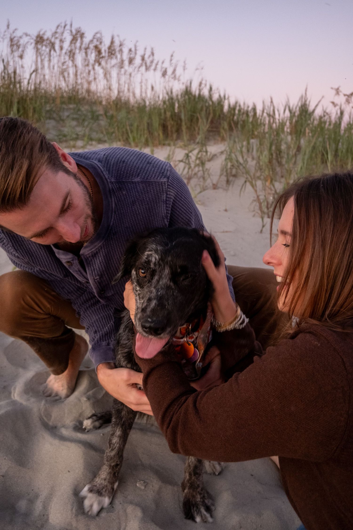 A smiling man and woman crouch on a sandy beach petting a happy black and white spotted dog near dune grass at sunset.
