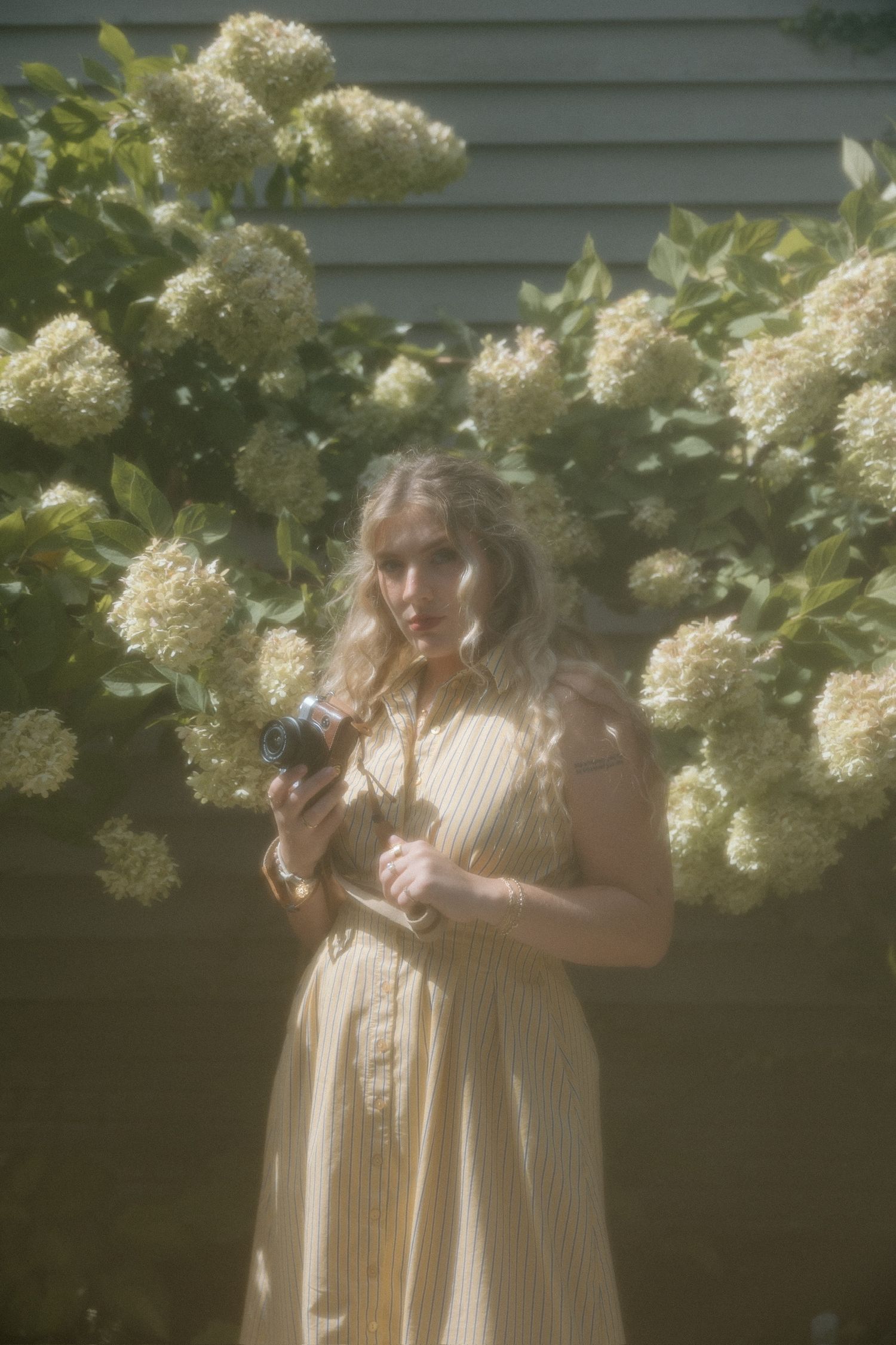 Woman in a yellow striped sundress holds a vintage film camera in front of blooming white hydrangeas in soft, dreamy light.