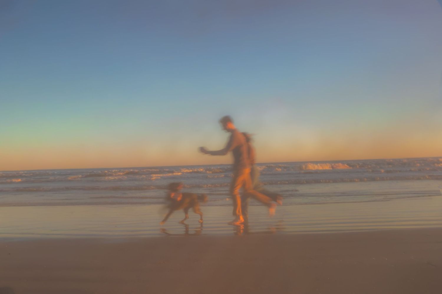 A blurry, warm-toned beach scene shows a person walking along the shoreline with a dog trotting beside them at sunset.