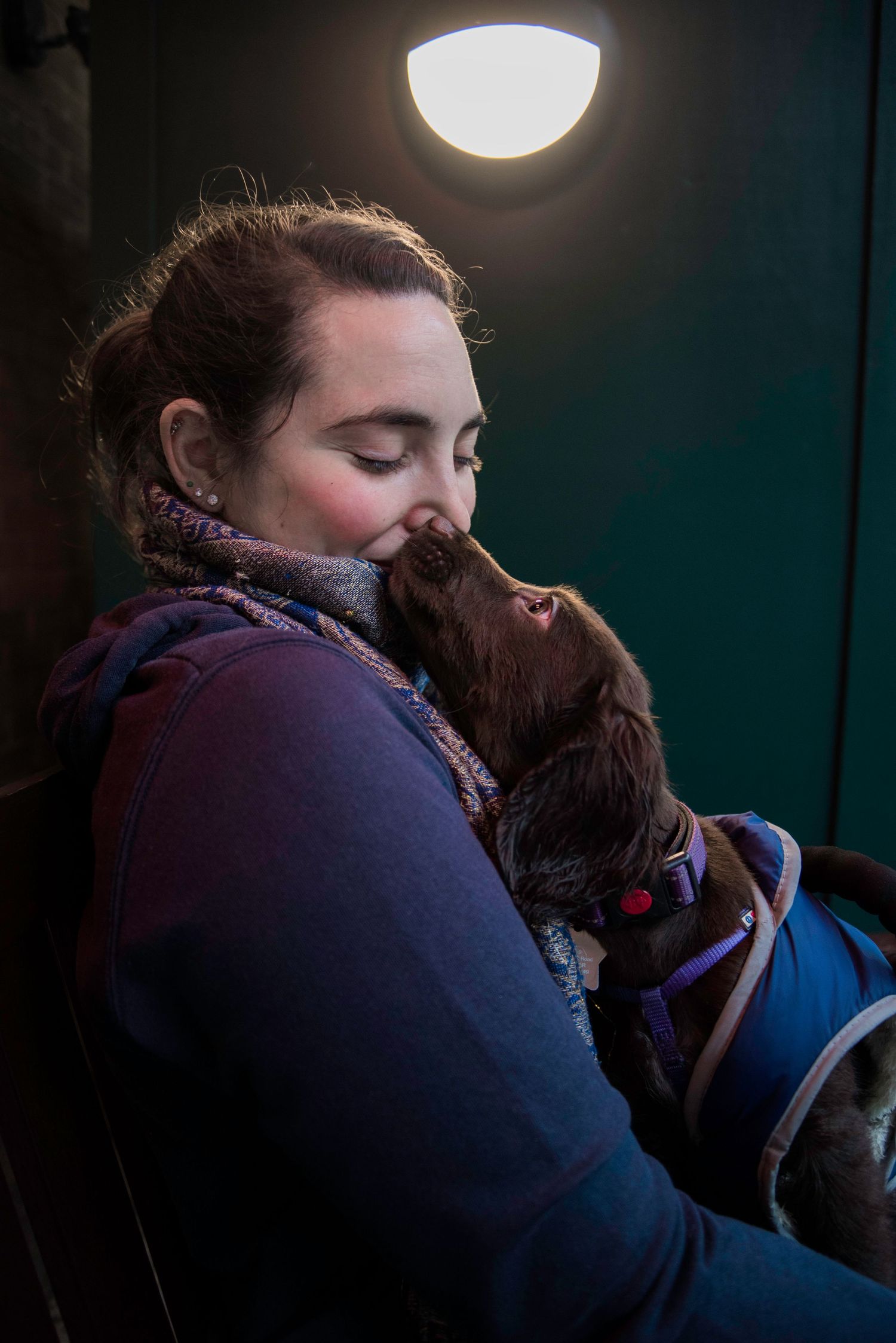 Person in purple sweater cuddling with dog under dome light in evening setting.