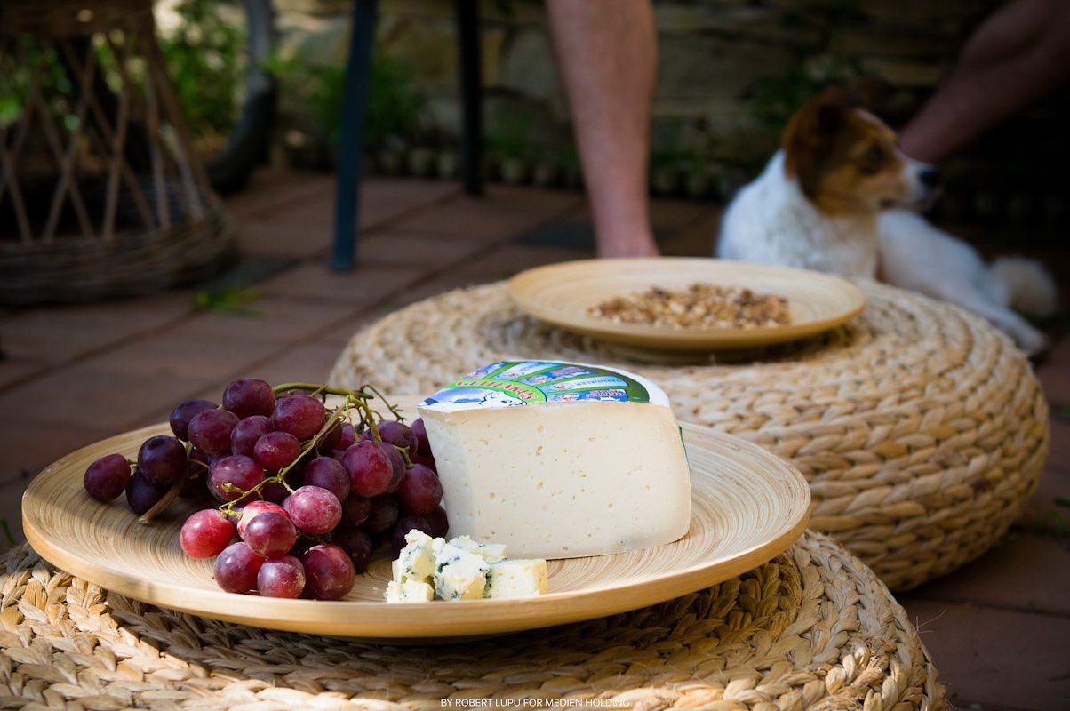 Wooden plates with red grapes and cheese on woven ottomans with a dog resting in the background.