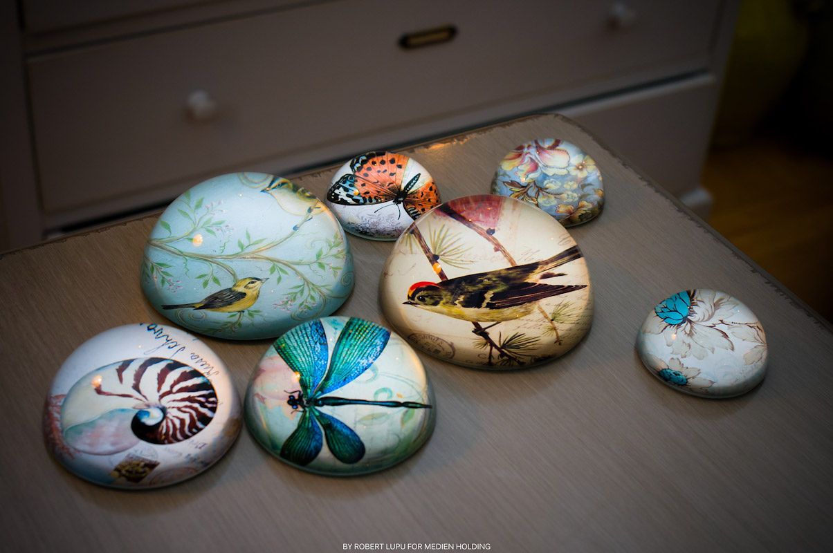 Seven decorative painted rocks featuring colorful birds, dragonflies, and shells displayed on a wooden surface.