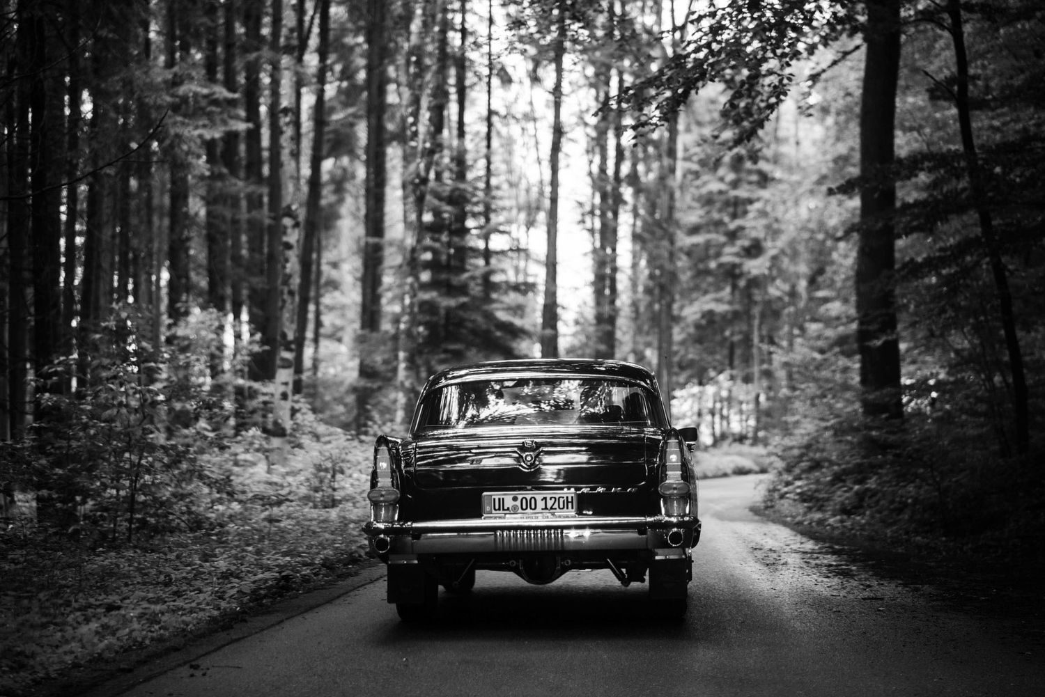 Vintage black car driving through a lush forest road in black and white photography.