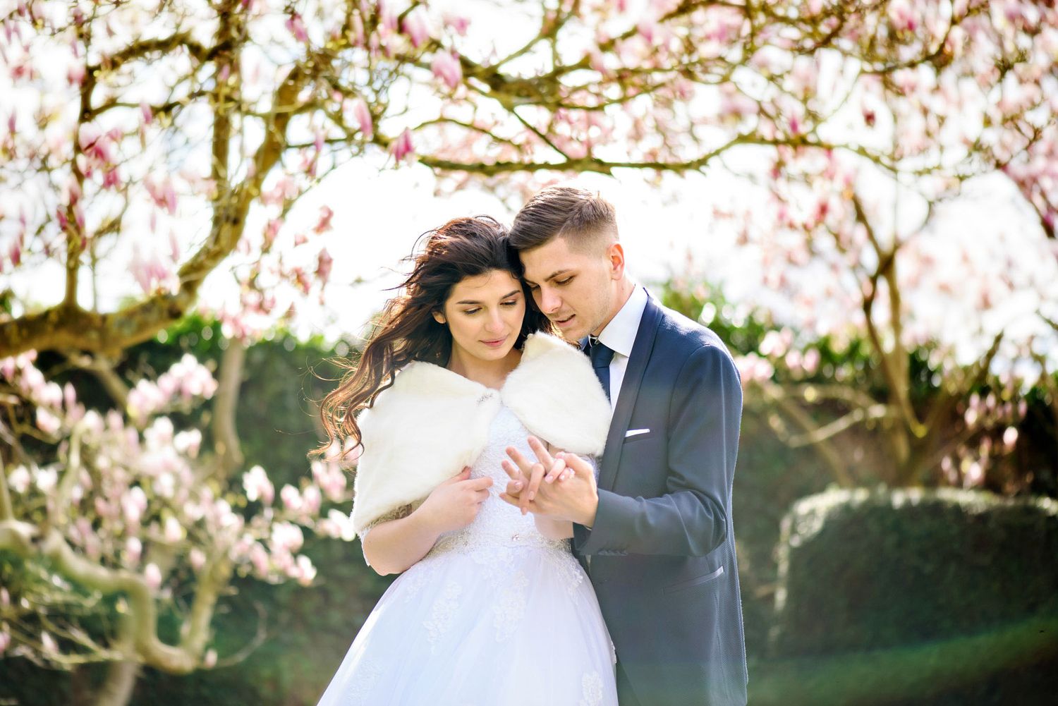 A couple embraces tenderly among blooming magnolia trees in a romantic outdoor wedding photo.