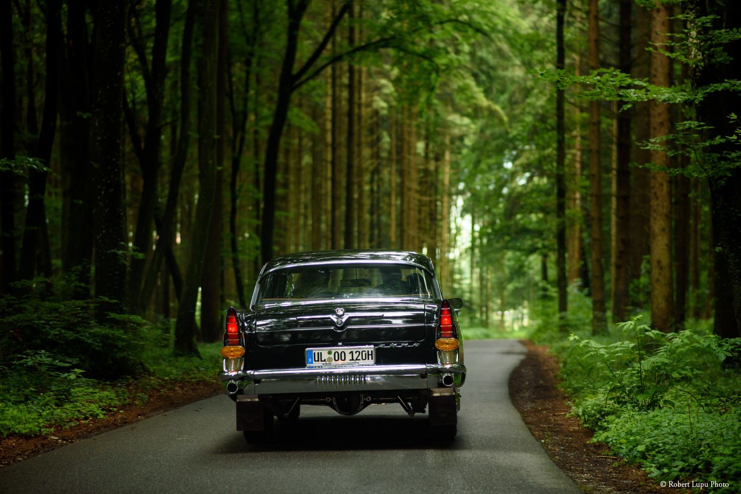 Vintage black classic car driving down a lush green tree-lined forest road.