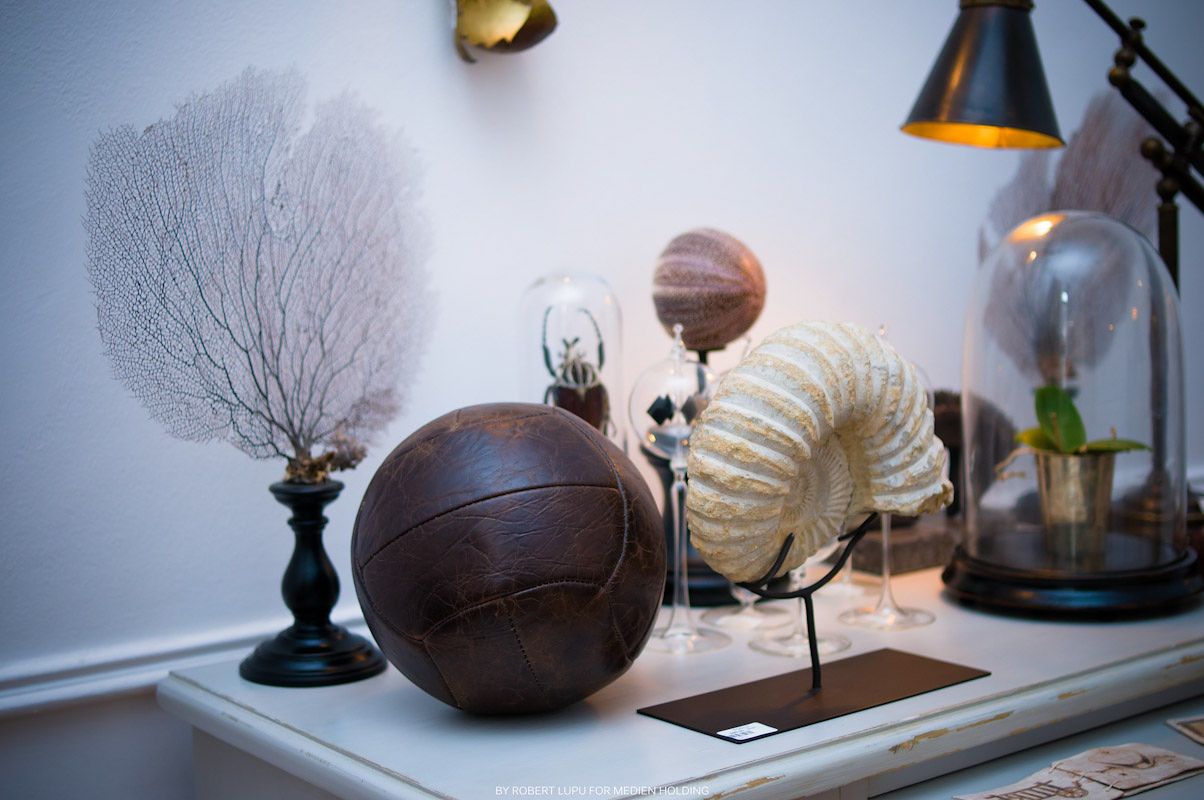 Vintage decorative display with leather soccer ball, nautilus shell, and coral under glass dome.