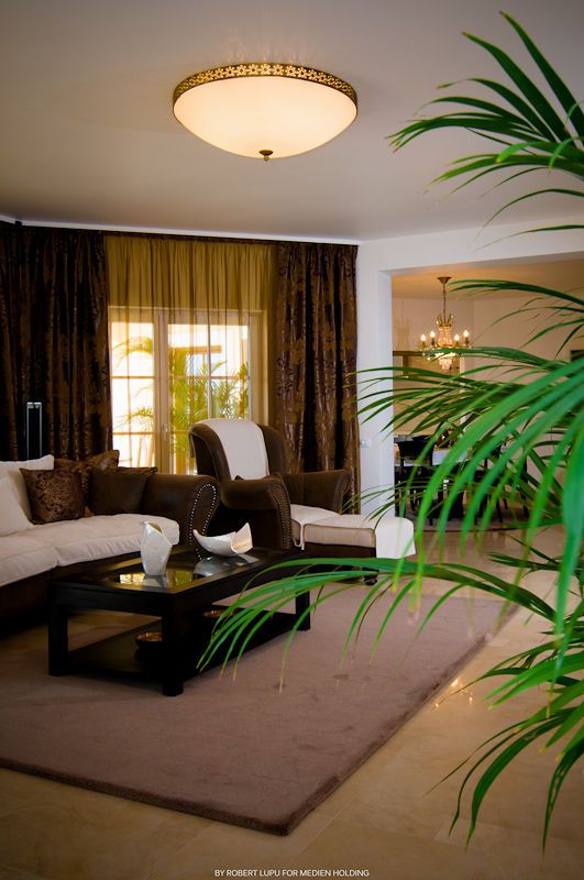 Luxurious living room with dark brown curtains, white sofa, glass coffee table, and tropical plant decor.