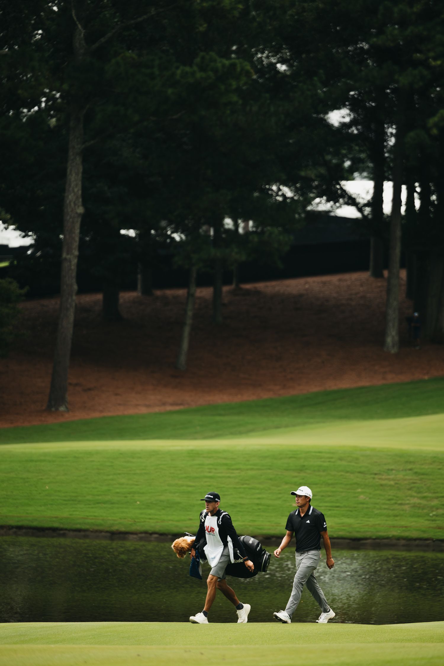 pga, australian golf, rory mcilory, pga tour, golf photography, golf photographer, pga tour,