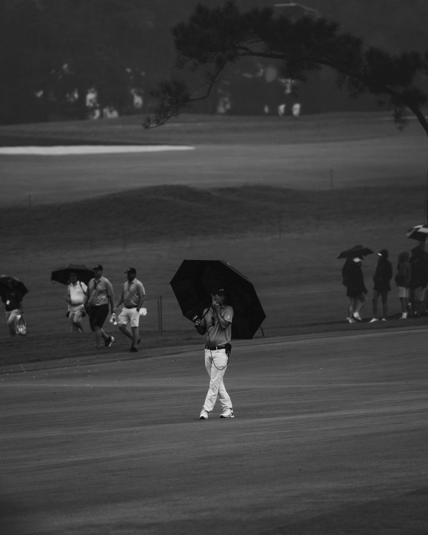 pga, australian golf, rory mcilory, pga tour, golf photography, golf photographer, pga tour,