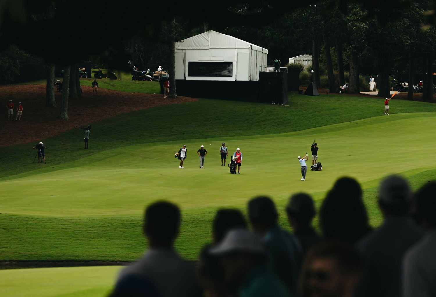 pga, australian golf, rory mcilory, pga tour, golf photography, golf photographer, pga tour,