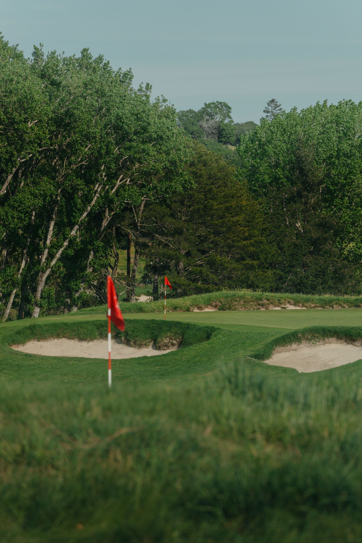 meadow club, alister mackenzie golf course