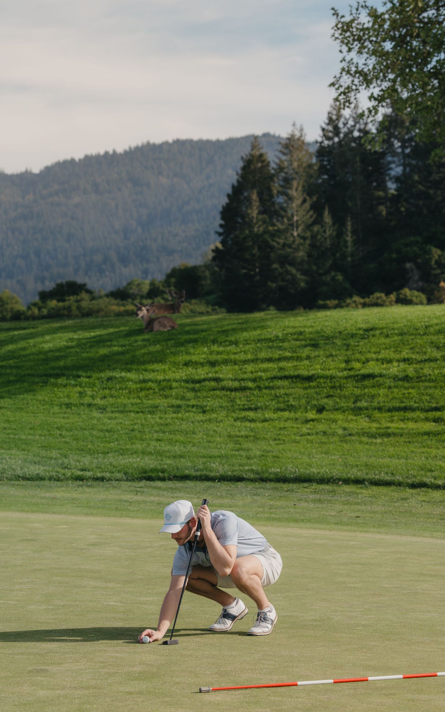meadow club, alister mackenzie golf course