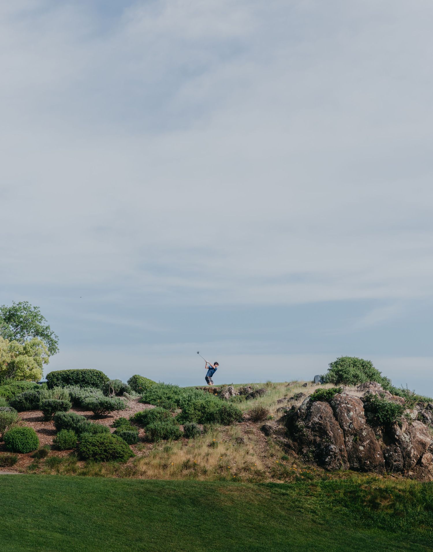 meadow club, alister mackenzie golf course, golf art, golf photography