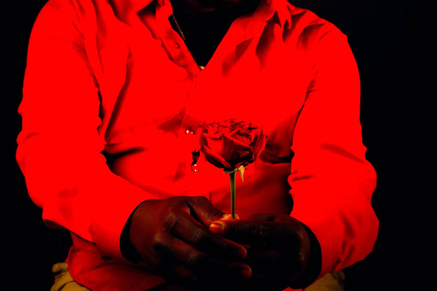 A person in a bright red shirt sits against a dark background holding a single red rose with both hands.