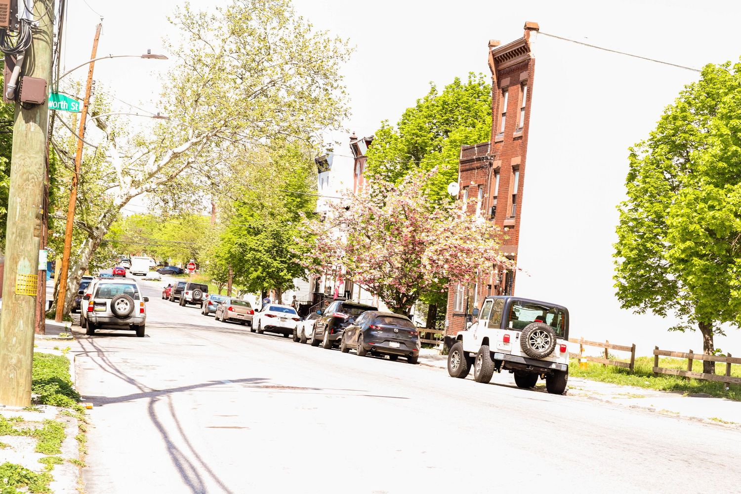 “Spring light spills across a quiet city street—capturing texture, color, and the calm rhythm of a neighborhood in full bloom.”